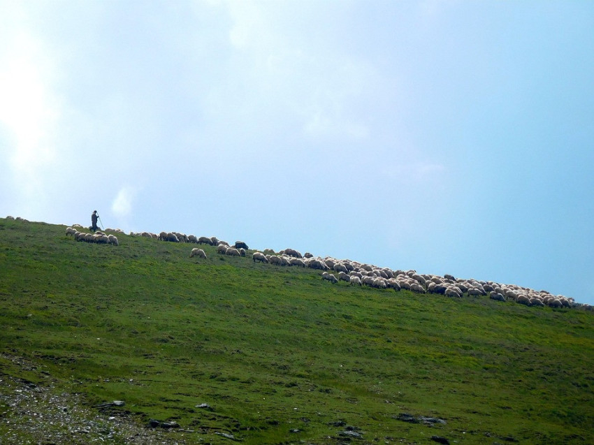 Fotó: Erika van Amerongen