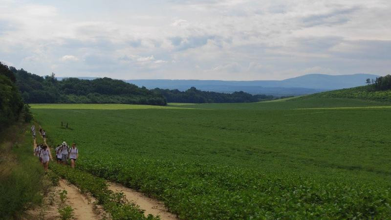 Fotó: Gáll Zsófia