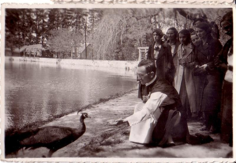 Sixtus atya a zirci arborétumban