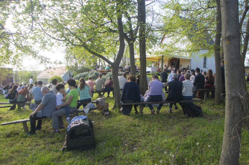 Forrás: Joó Enikő