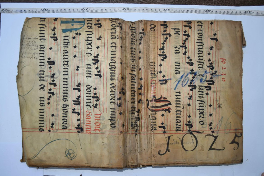 A Kolozsvári graduále lapja