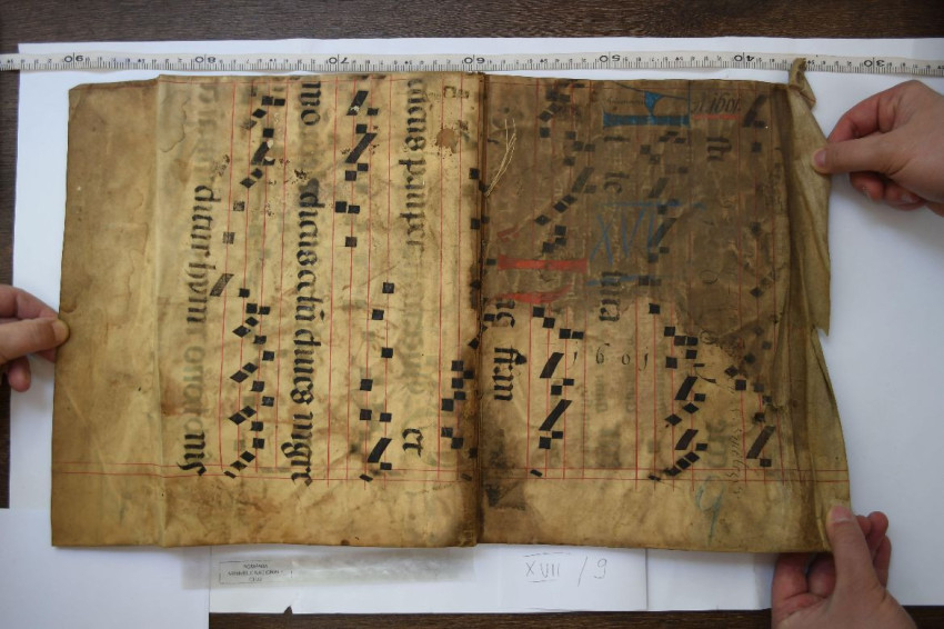 Szent Ferenc alleluia-éneke az egyik kolozsvári töredéken