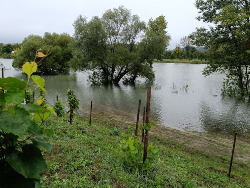 Pilismaróti táj (Fotó: Feleki Marietta/kemma.hu)