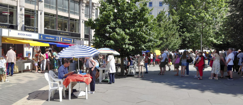 Dedikálásért sorban álló olvasók a 96. Ünnepi Könyvhéten