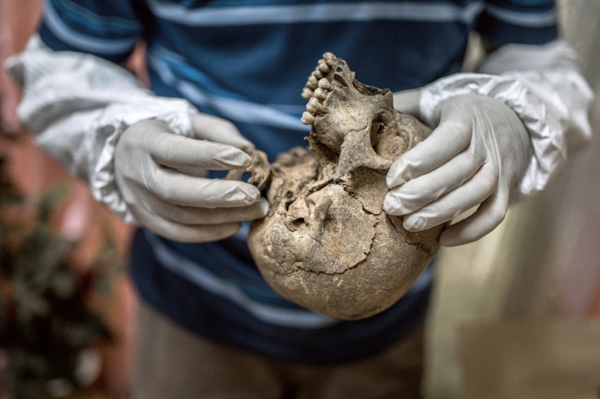 Mende Balázs G. paleoantropológus mintavétele genetikai vizsgálathoz kora középkori koponyából (Izsevszk, Szöllősi Mátyás felvétele