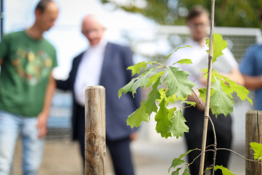 Faültetés a kaposvári Katolikus társadalmi napokon (2026. szeptember 19.)