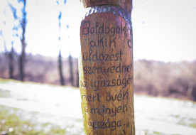 Mai evangélium – 2025. november 1., mindenszentek