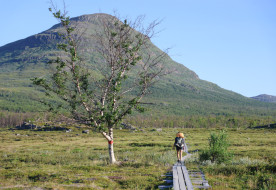 Mai evangélium – 2025. november 2., halottak napja