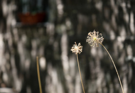 Útravaló – 2025. november 18.