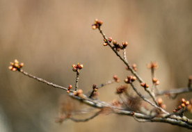 Mai evangélium – 2025. november 28.