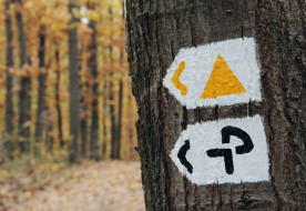 Természetben a természetfelettivel – Készül a pálos tematikus út Balatonszemesen