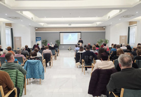 Isten ígéreteinek útján – A szatmári egyházmegyében a 2033-as jubileumra készülnek