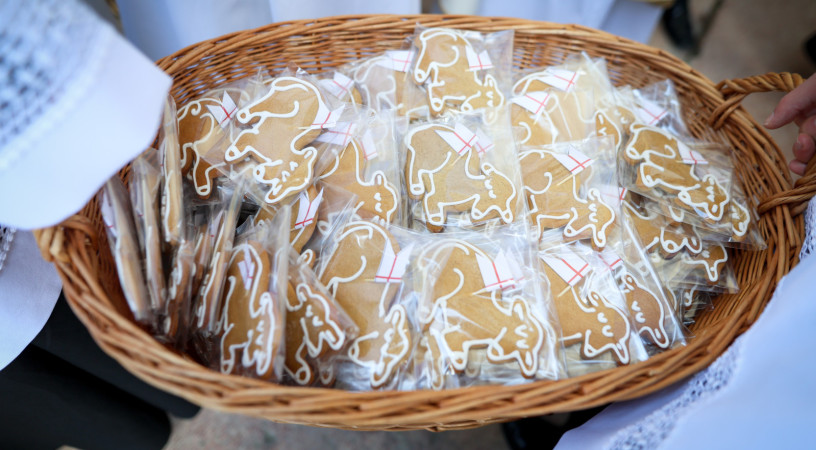 Merjünk élni, hinni, újrakezdeni – Húsvétvasárnap egyházmegyéinkben