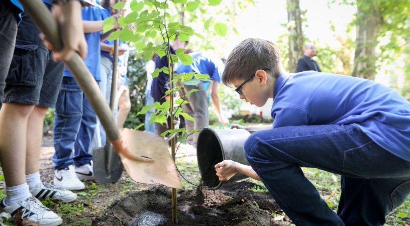 Szeretnél többet tenni a teremtett világért? – Indul az új Laudato si’-animátor-kurzus